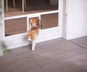 Insektenschutz Katzenklappe…